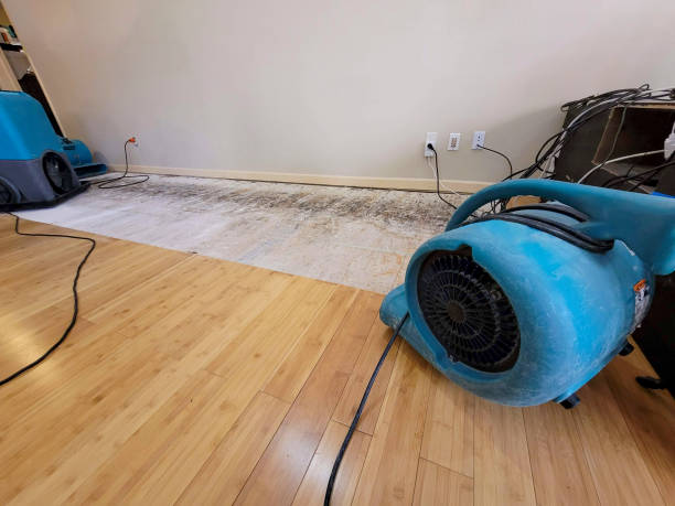 Professional Flood Damage Cleanup technician working in Woodbridge, NJ